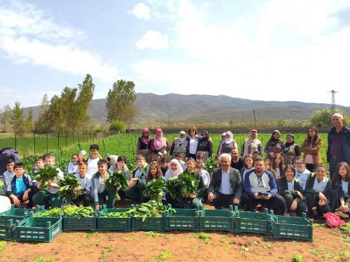 TARLADA İZİ OLMAYANIN HARMANDA YÜZÜ OLMAZ