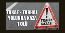 TOKAT TURHAL YOLUNDA KAZA