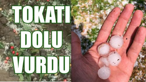 TOKAT VE ÇEVRESİNDE DOLU VE YAĞIŞ ETKİLİ OLDU