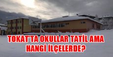 TOKAT'TA HANGİ İLÇELERDE KAR TATİLİ VAR?