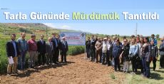 Tarla Gününde Mürdümük Tanıtıldı