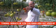 Termal Seracılık Çalışmaları