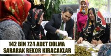 Tokat Nüfusu Kadar Dolma 