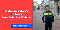 Tokat Yahya Güreli Arıyor