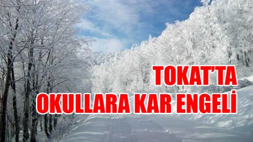 Tokat'ın bazı ilçelerinde yüz yüze eğitime 1 gün ara 