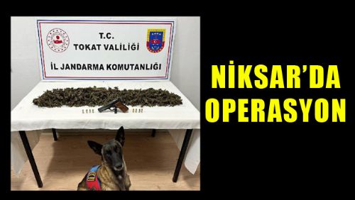 Tokat'ta 2 kilo 300 gram esrar ele geçirildi