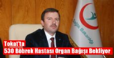 Tokat'ta 530 Böbrek Hastası Organ Bağışı Bekliyor