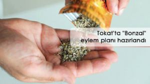 Tokat'ta ''Bonza'' eylem planı hazırlandı