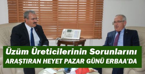 Tokat'ta Üzüm Üreticilerinin Sorunları Araştırılacak