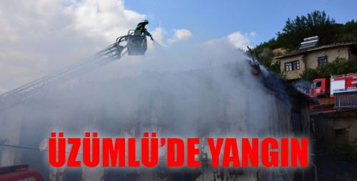 ÜZÜMLÜ'DE YANGIN