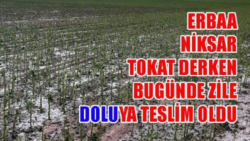 Zile'de Dolu Tarım Arazilerini Vurdu