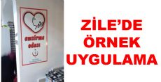 Zile'de Örnek Uygulama