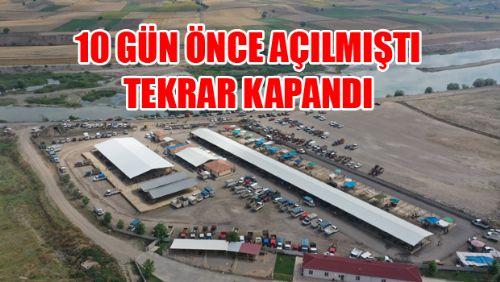 Erbaa ilçe hayvan pazarı tekrar kapatıldı