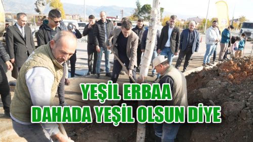 Erbaa’da ağaçlandırma çalışmaları devam ediyor.