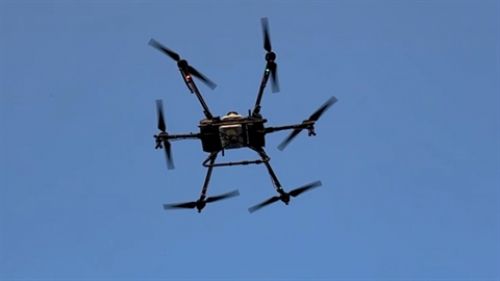 Tokat'ta sinek ve lavralara karşı drone ile ilaçlama